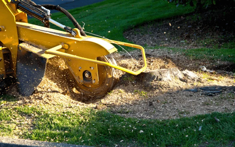 grinding-a-stump-yellow