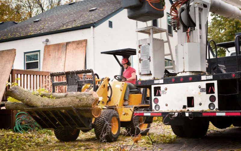 tractor-moving-trees